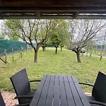 Zselic Kuckó By Mártika Apartamento *